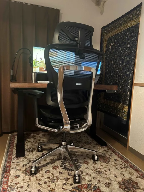 美品 COFO Chair Premium ものすごく ブラック